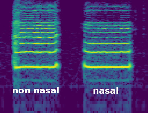 nasality on a spectrogram